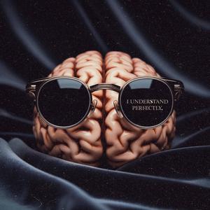 I Understand Perfectly