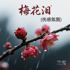 梅花泪 (伤感氛围)