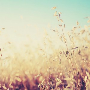 你会爱我到什么时候