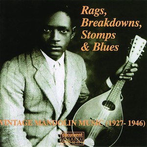 Rags, Breakdowns, Stomps And Blues