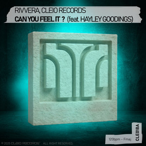 Can You Feel It ? (feat. Hayley Goodings)