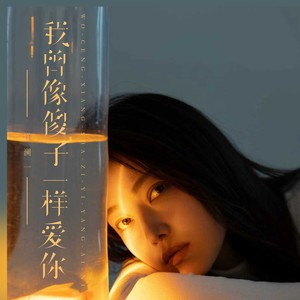 我曾像傻子一样爱你