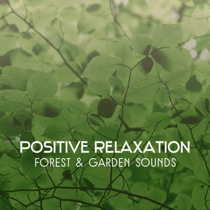 Spiritual Relaxation Moment