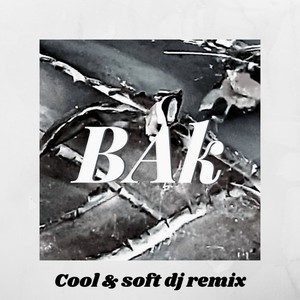 Cool & Soft (Dj Remix)
