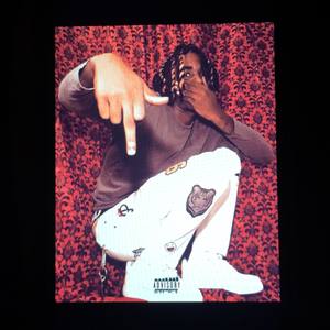 Dead Roses (Explicit)