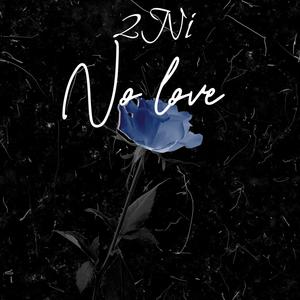 No love (Explicit)