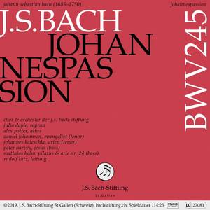 Johannespassion, BWV 245: No. 24, Arie (Bass) und Chor - Eilt, ihr angefochtnen Seelen