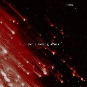 your loving arms (feat. Abhinandan Nath) [Explicit]