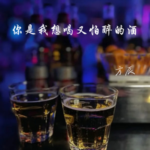 你是我想喝又怕醉的酒 (DJAX1n版)