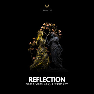 Reflections