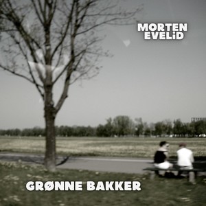 Grønne bakker