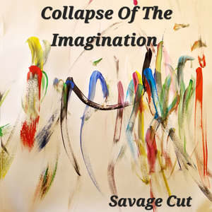 Collapse Of The Imagination