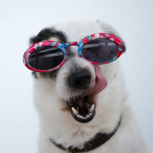 vídeo engraçado pegadinha