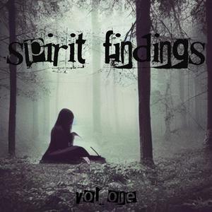 SPIRIT FINDINGS 1 (Explicit)