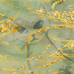 Meteorological Angel