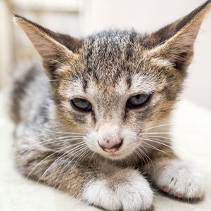 Late Afternoon (Slowed|Reverb)