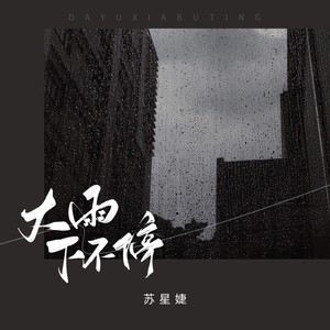 大雨下不停 - 苏星婕封面