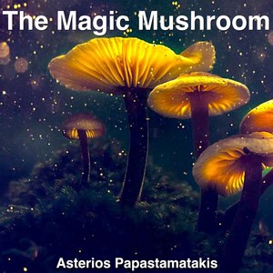 The Magic Mushroom