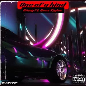 One Of A Kind (feat. Ness Styles) (Explicit)