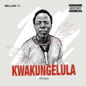 Bonus track (Hustler) (feat. Villa The Infinity, Snowmfanobovu & Kàrl Swift) (Explicit)