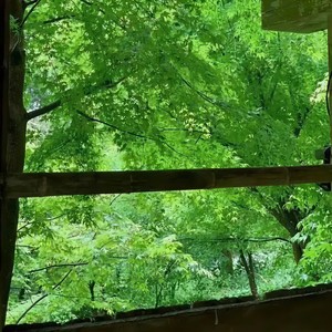 深度睡眠曲 (一秒入睡)封面