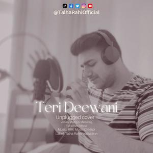 Teri Deewani