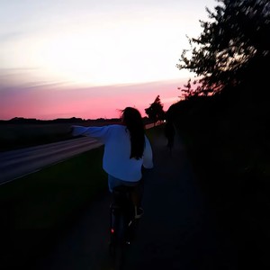 BleakX - 青花瓷 (DJ降调版)