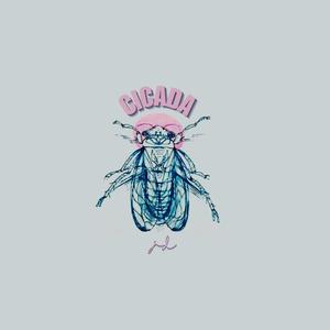 Dreams of Weightlessness