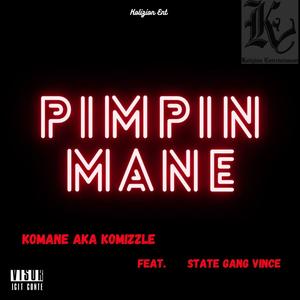 Pimpin' MANE (feat. State Gang Vince) [Explicit]