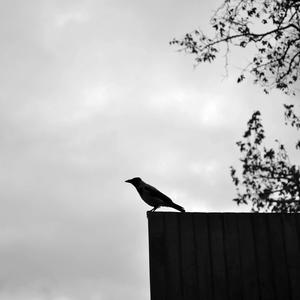 Ballin (feat. Blake) (Explicit)