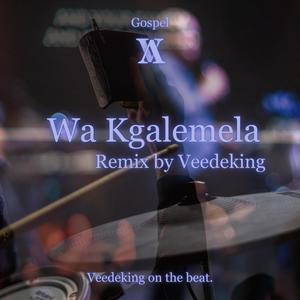 Wa Kgalemela (REMIX)