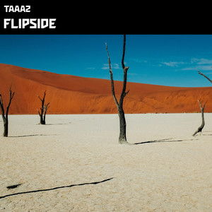 Flipside