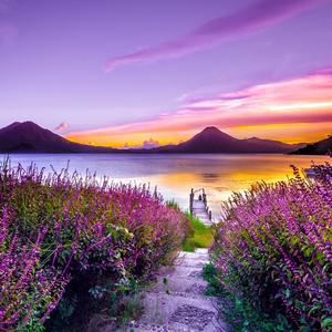 Wasting Good Memories