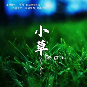 小草封面