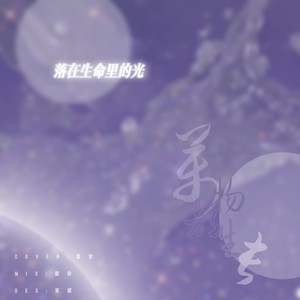 落在生命里的光