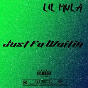 Just Fa Waitin (Explicit)