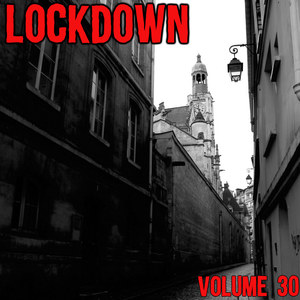 Lock Down Vol. 30