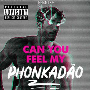 CAN YOU FEEL MY PHONKADÃO (Dub Mix) [Explicit]