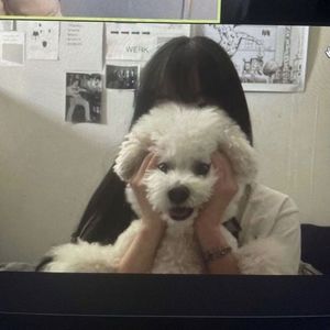 böyle güzelsin hep böyle kal