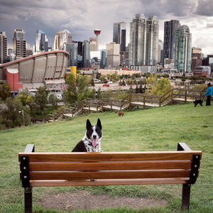 The Last 30 Seconds Goes Hard (feat. Big Bruh Tuh)