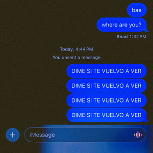 DIME SI TE VUELVO A VER