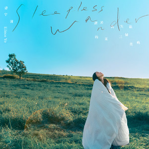 关于我失眠的某三个夜晚 Sleepless Wander