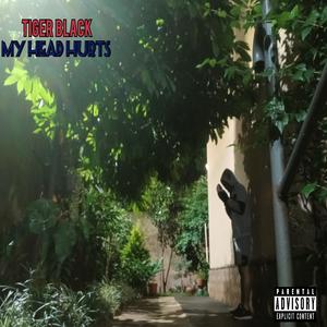 Gasolina Mental (Explicit)