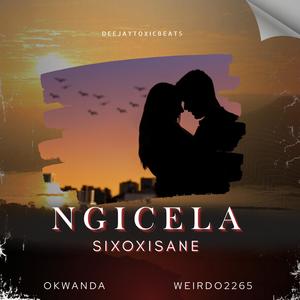 Ngicela Sixoxisane (feat. Okwanda & Weirdo2265)