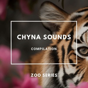 Chyna Sounds