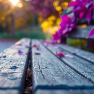 The Empty Space Next to Me