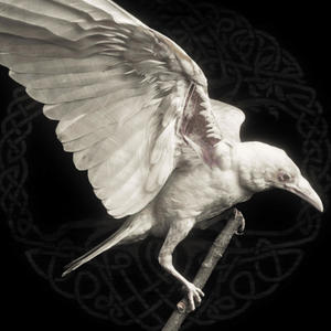 You've Been Alone (Explicit)