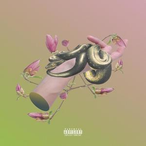 Lēt Ü Døwn (Explicit)