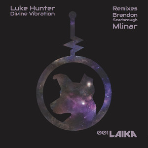 Divine Vibration (Brandon Scarbrough Remix)