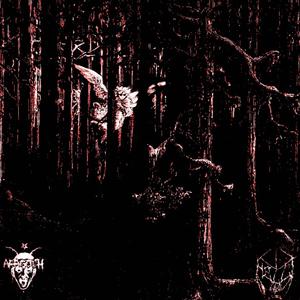 NEVER LET(feat. Helli) (Explicit)